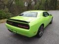 Sublime - Challenger R/T Shaker Photo No. 6