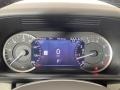 Light Oyster/Ebony Gauges Photo for 2023 Land Rover Discovery #145874432