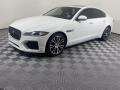 2023 Fuji White Jaguar XF SE #145875248