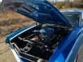 1970 Ford Fairlane 500 351ci OHV 16-Valve V8 Engine Photo