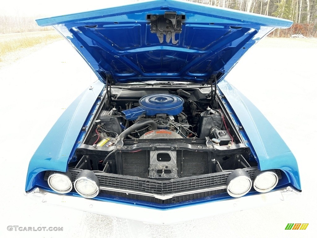 1970 Ford Fairlane 500 2 Door Hardtop 351ci OHV 16-Valve V8 Engine Photo #145881376