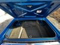 Black Trunk Photo for 1970 Ford Fairlane 500 #145881448