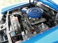 1970 Ford Fairlane 500 351ci OHV 16-Valve V8 Engine Photo