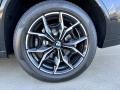 2023 BMW X4 xDrive30i Wheel and Tire Photo