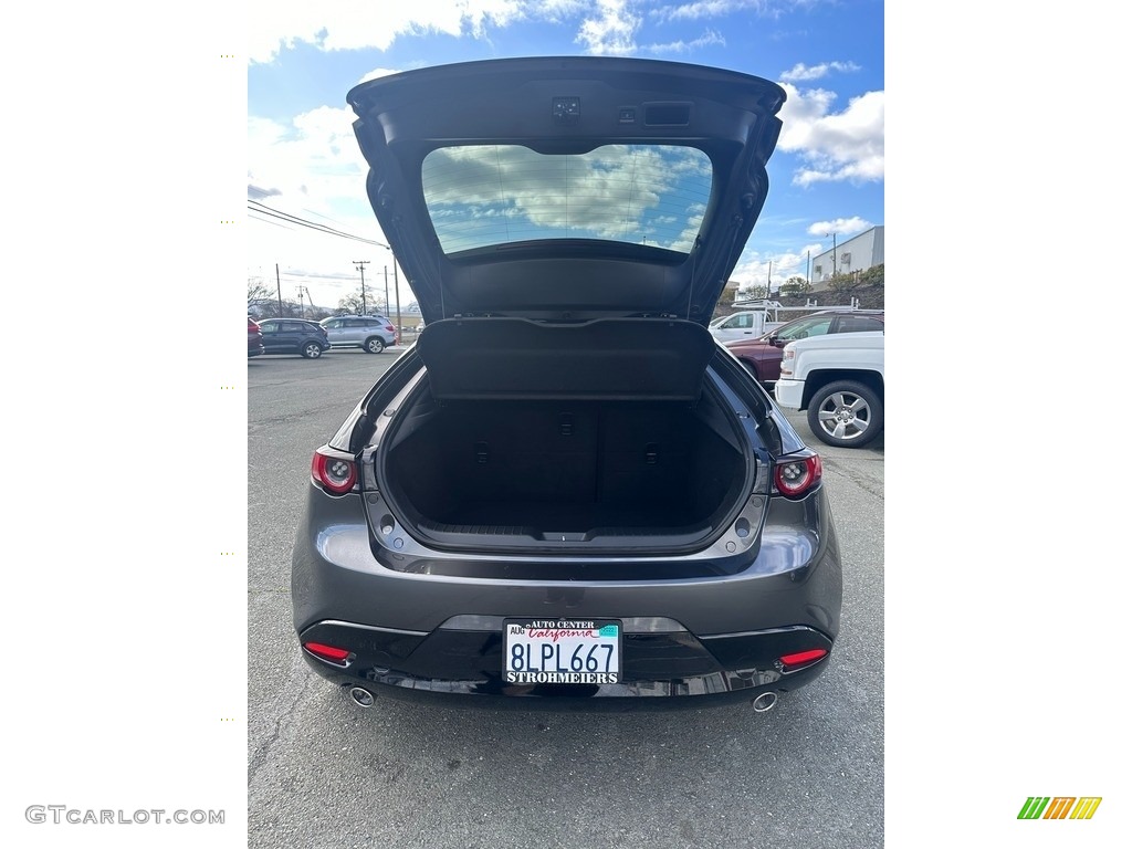 2019 MAZDA3 Hatchback - Machine Gray Metallic / Black photo #5