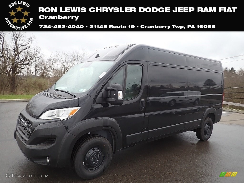 Black Ram ProMaster