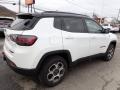 Bright White - Compass Trailhawk 4x4 Photo No. 6