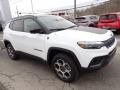 Bright White - Compass Trailhawk 4x4 Photo No. 8