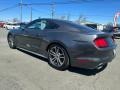 Magnetic - Mustang V6 Coupe Photo No. 4
