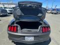 Magnetic - Mustang V6 Coupe Photo No. 7