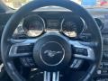 Magnetic - Mustang V6 Coupe Photo No. 8