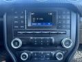 Magnetic - Mustang V6 Coupe Photo No. 10