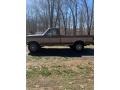 9N - Dark Chestnut Metallic Ford F250 (1989)