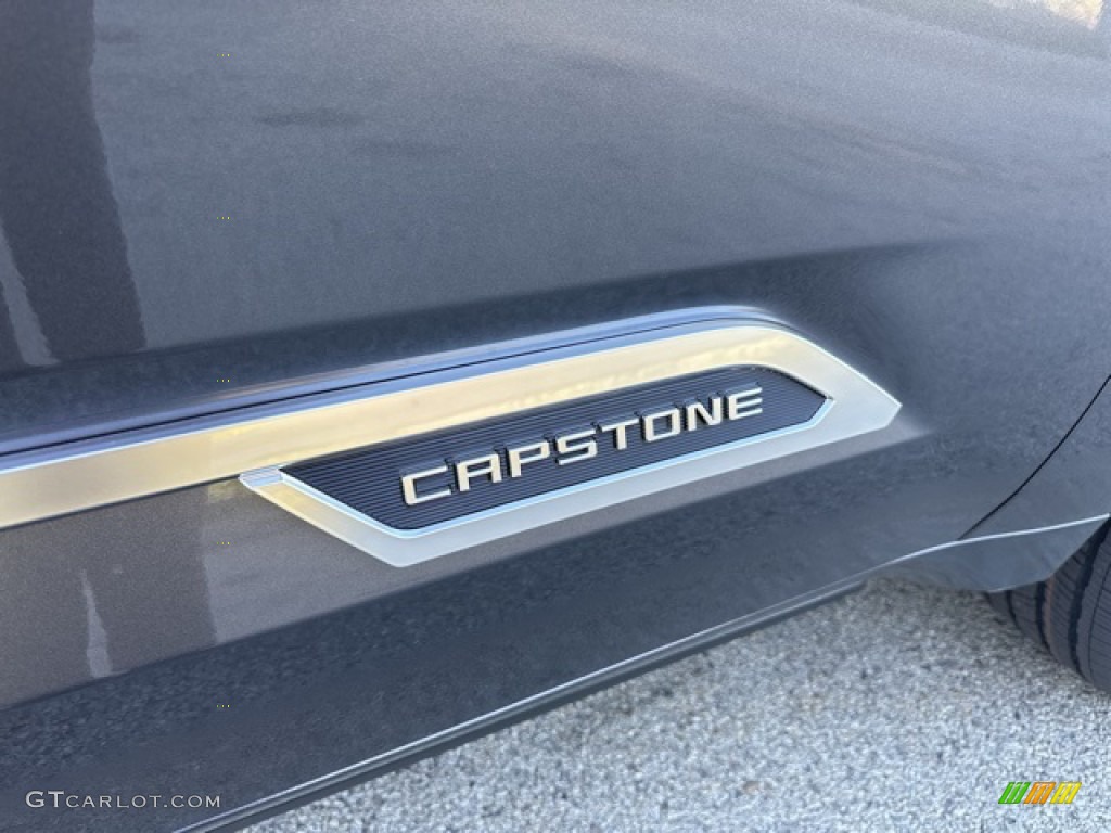 2023 Toyota Tundra Capstone CrewMax 4x4 Marks and Logos Photo #145930193