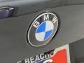 Black Sapphire Metallic - X5 xDrive40i Photo No. 7