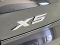 Black Sapphire Metallic - X5 xDrive40i Photo No. 8