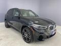 Black Sapphire Metallic - X5 xDrive40i Photo No. 27