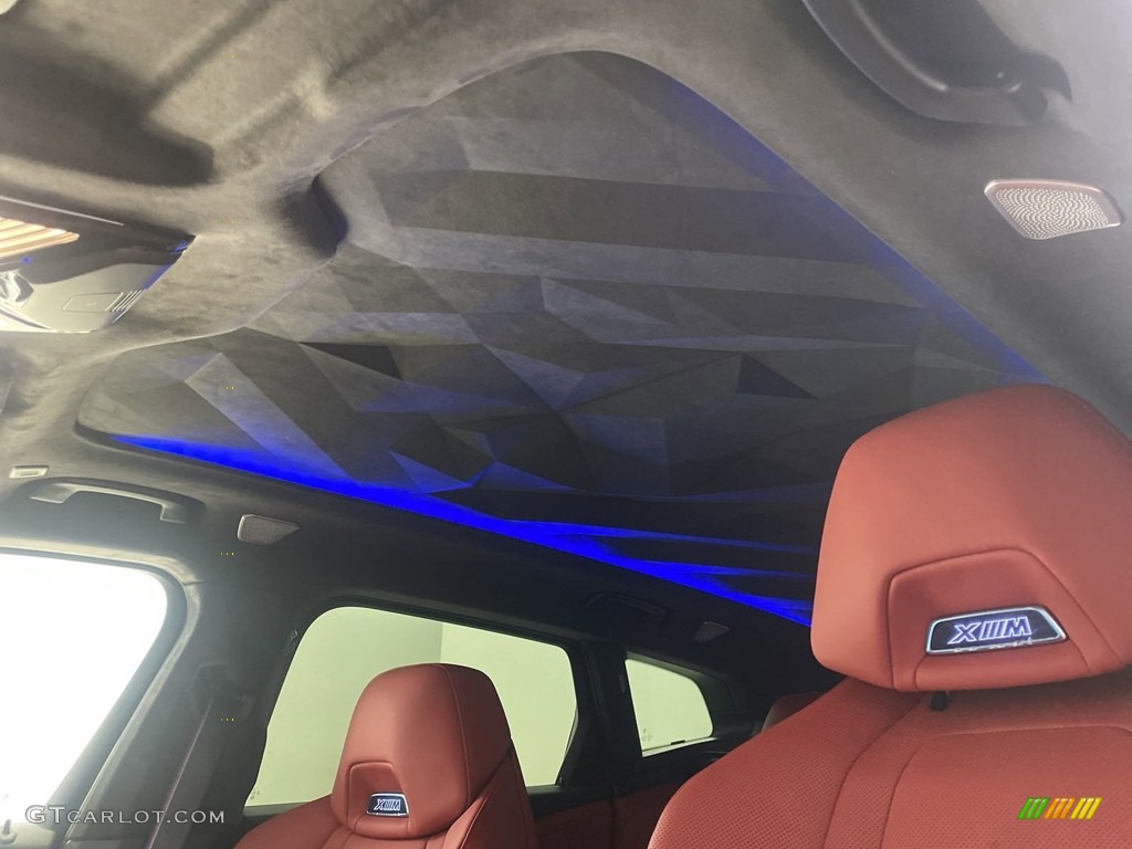 2023 BMW XM Standard XM Model Sunroof Photos