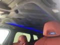 Sakhir Orange/Black Sunroof Photo for 2023 BMW XM #145936382