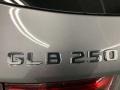 2020 Mountain Grey Metallic Mercedes-Benz GLB 250  photo #11