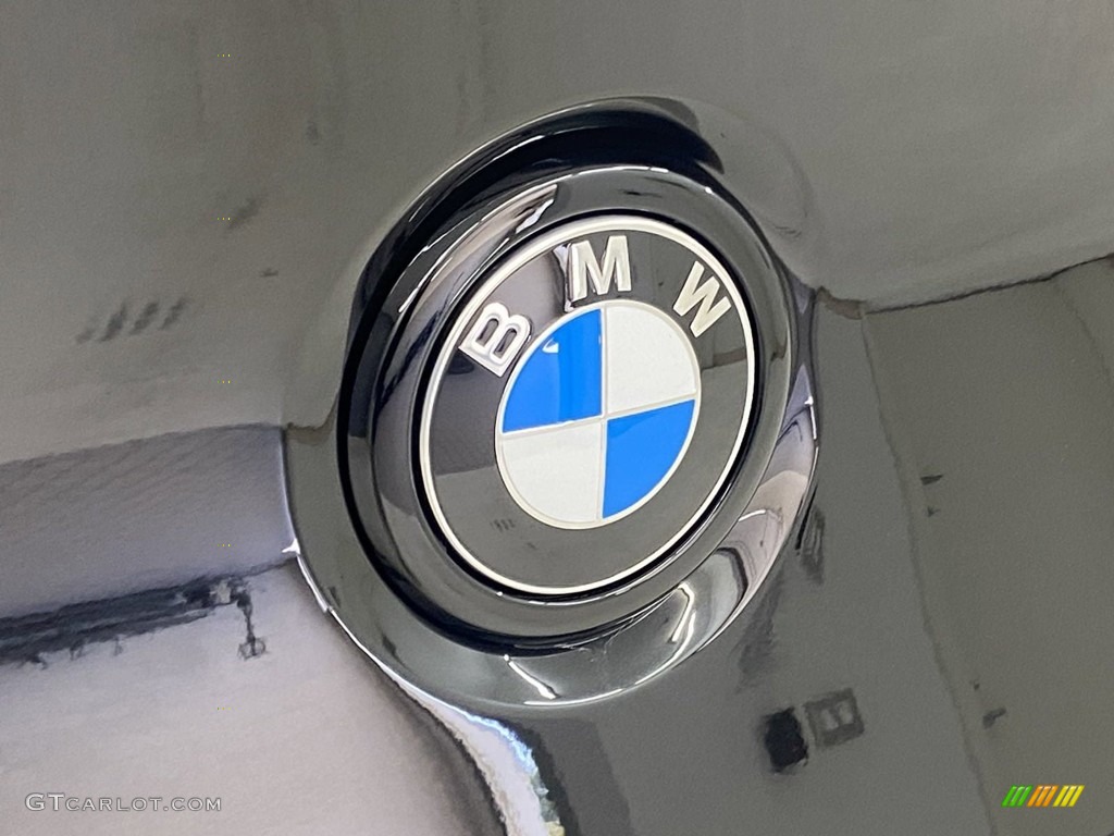 2023 BMW X4 M Standard X4 M Model Marks and Logos Photo #145938911