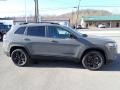 Sting-Gray - Cherokee Altitude Lux 4x4 Photo No. 7