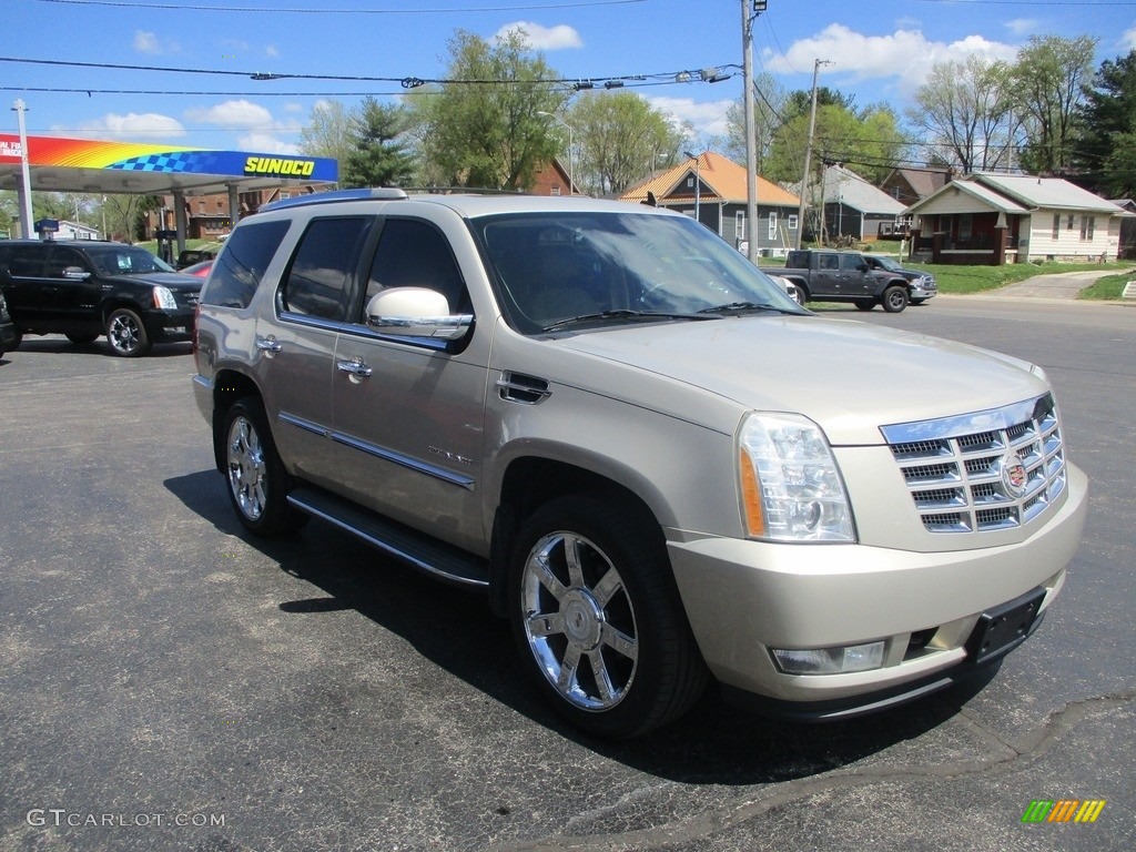 2010 Escalade Luxury - Gold Mist / Cashmere/Cocoa photo #5