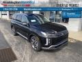 Abyss Black Pearl 2023 Hyundai Palisade SEL AWD