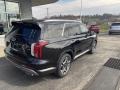 Abyss Black Pearl - Palisade SEL AWD Photo No. 2