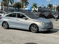 2011 Harbor Gray Metallic Hyundai Sonata Limited  photo #2