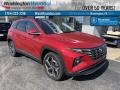 Calypso Red Pearl - Tucson Limited AWD Photo No. 1