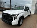 Ice Cap 2023 Toyota Tundra SR CrewMax 4x4