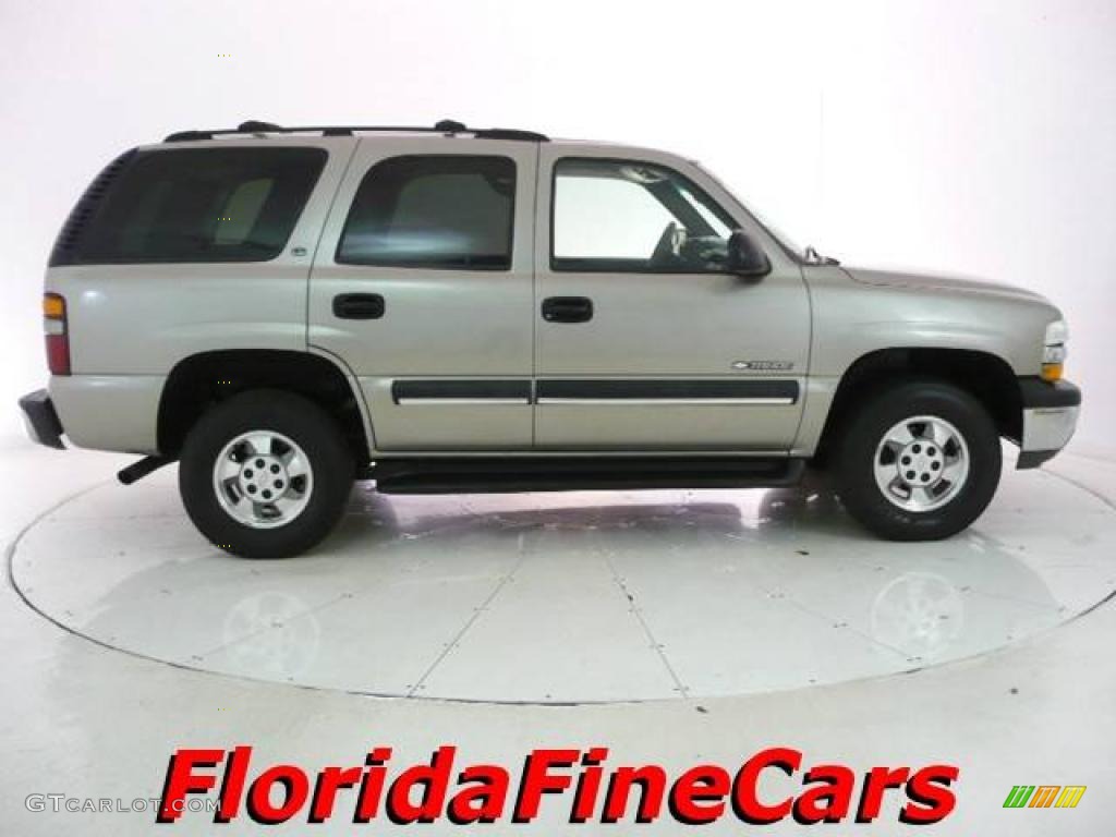 2002 Tahoe LS - Light Pewter Metallic / Medium Gray/Neutral photo #4