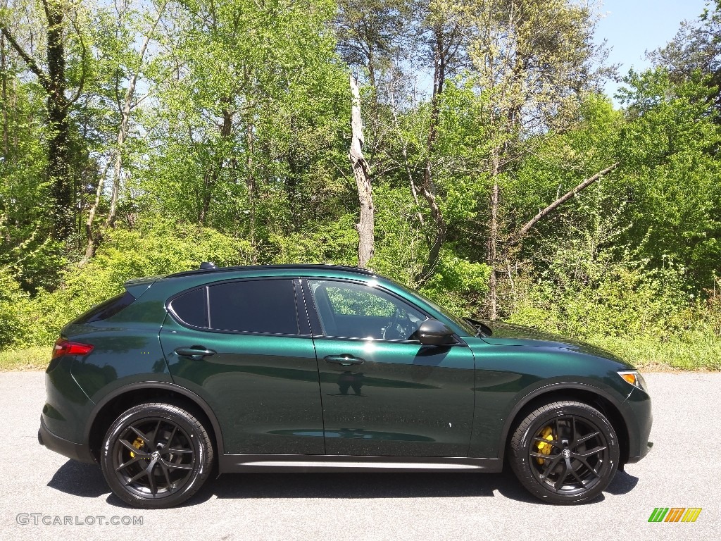 2020 Stelvio AWD - Verde Visconti Metallic / Black/Chocolate photo #5