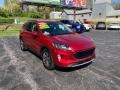 2020 Rapid Red Metallic Ford Escape SEL 4WD  photo #8
