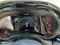 Vitra Gray/Black Gauges Photo for 2021 Dodge Durango #145979946