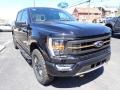 Agate Black Metallic - F150 Tremor SuperCrew 4x4 Photo No. 7