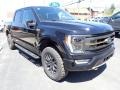 Agate Black Metallic 2023 Ford F150 Tremor SuperCrew 4x4 Exterior