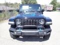 Black - Wrangler Unlimited Rubicon 4XE 20th Anniversary Hybrid Photo No. 8