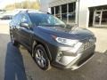 Magnetic Gray Metallic - RAV4 Limited AWD Photo No. 9