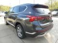 Portofino Gray - Santa Fe SEL AWD Photo No. 5