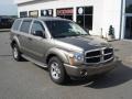 Light Khaki Metallic - Durango Limited 4x4 Photo No. 17