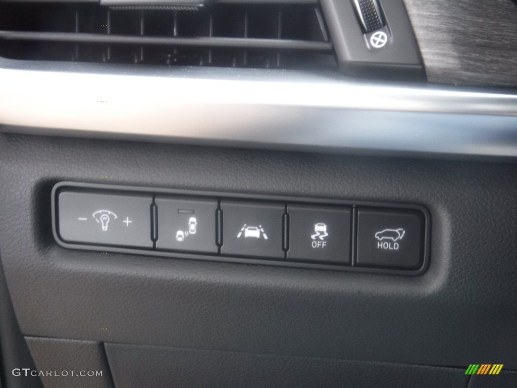2020 Telluride EX AWD - Dark Moss / Black photo #17