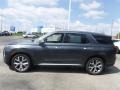 Steel Graphite - Palisade SEL AWD Photo No. 6