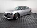 Billet Metallic - Charger SE Photo No. 4