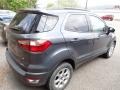 2020 Smoke Metallic Ford EcoSport SE  photo #4