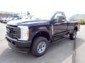 Antimatter Blue Metallic - F350 Super Duty XL Regular Cab 4x4 Photo No. 4
