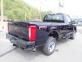 Antimatter Blue Metallic - F350 Super Duty XL Regular Cab 4x4 Photo No. 8