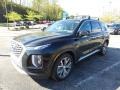 2020 Becketts Black Hyundai Palisade SEL AWD #146019644