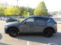 Polymetal Gray - CX-5 S Carbon Edition AWD Photo No. 6